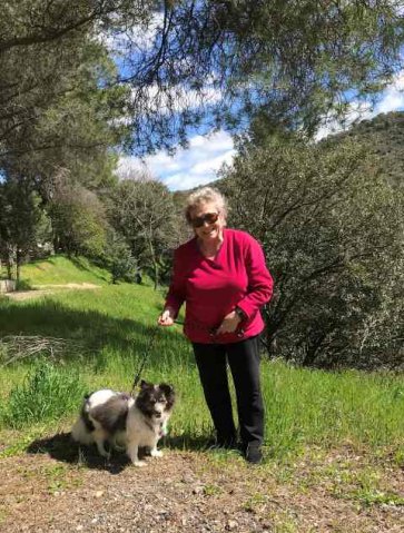 Jackie and Pipa, enjoying a welcome break and a walk, on their journey from Chingford in N.London to Mollina in Málaga, S.Spain.